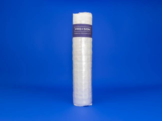 Матрас Standart Plus M ProSon