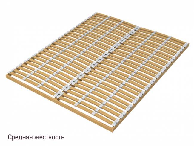 Основание Мультиламель