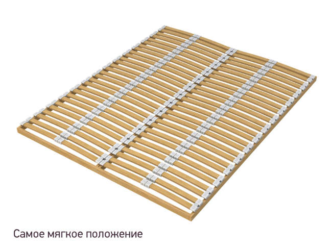 Основание Мультиламель